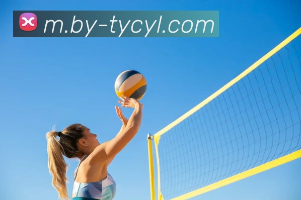 App Interface Preview